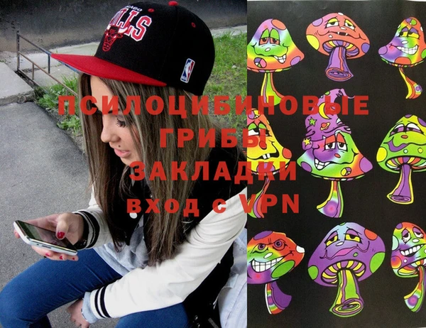 кокс Богородицк