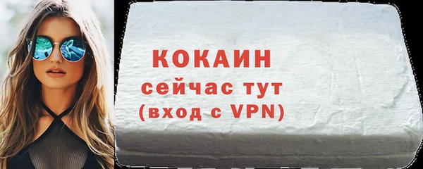 шишки Бородино