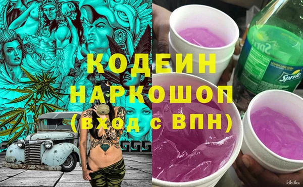 шишки Бородино