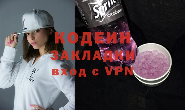 шишки Бородино