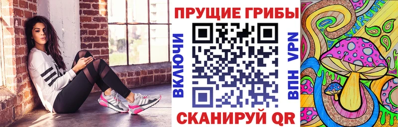 Галлюциногенные грибы мицелий  Купить закладки  Карачев 